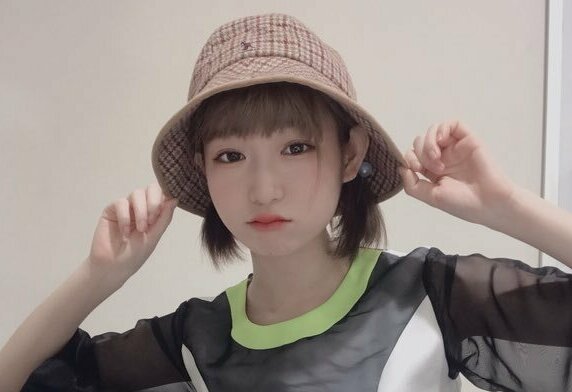 豆柴の大群】ハナエのwiki風プロフィール!経歴や家族構成